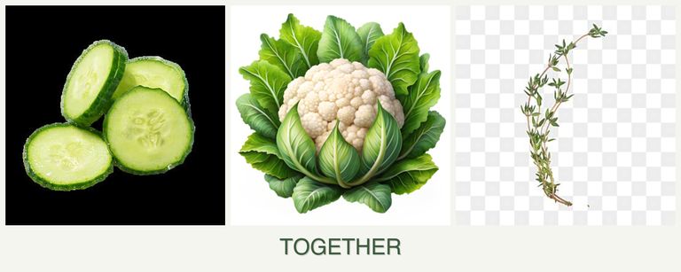 Can you plant cucumbers, cauliflower and thyme together?