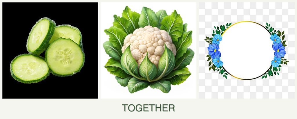 Can you plant cucumbers, cauliflower and zinnias together?