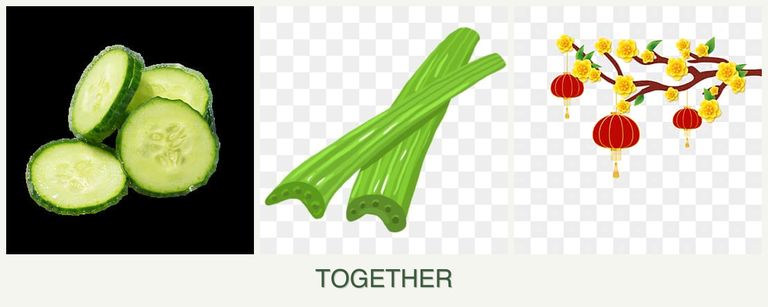 Can you plant cucumbers, celery and apricots together?