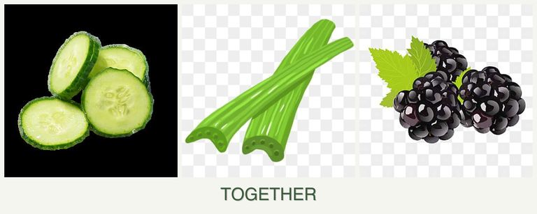 Can you plant cucumbers, celery and blackberries together?