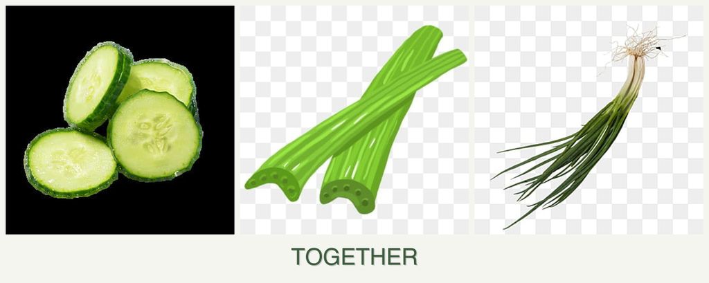 Can you plant cucumbers, celery and chives together?