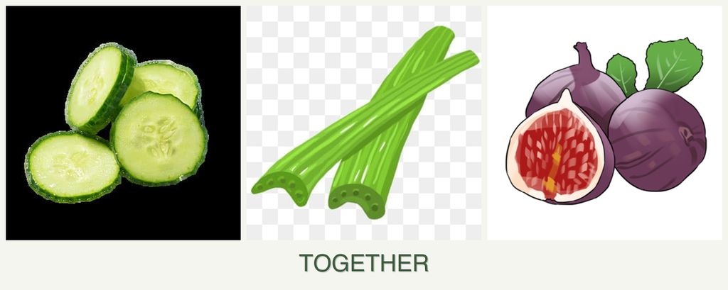 Can you plant cucumbers, celery and figs together?