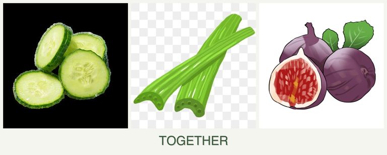 Can you plant cucumbers, celery and figs together?