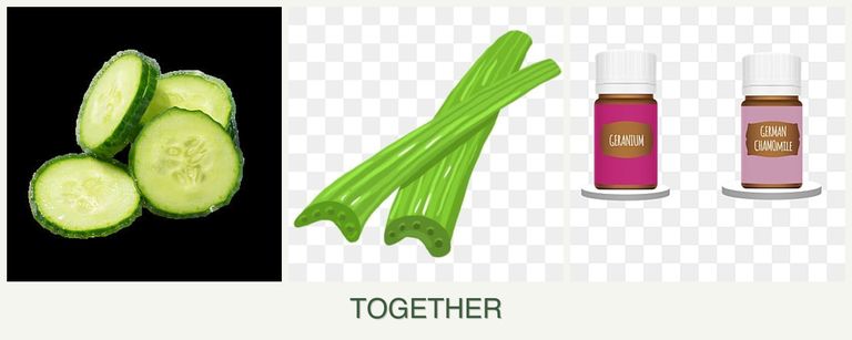 Can you plant cucumbers, celery and geraniums together?