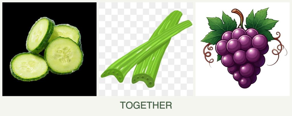Can you plant cucumbers, celery and grapes together?
