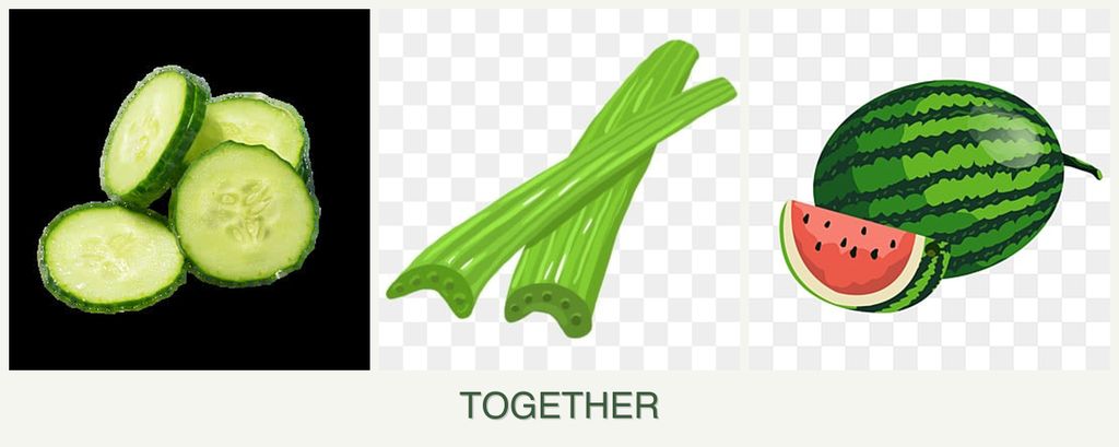 Can you plant cucumbers, celery and melons together?