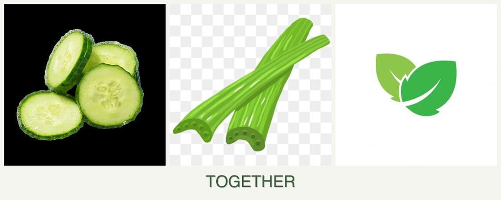 Can you plant cucumbers, celery and mint together?