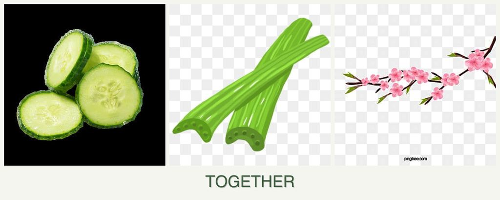 Can you plant cucumbers, celery and peaches together?
