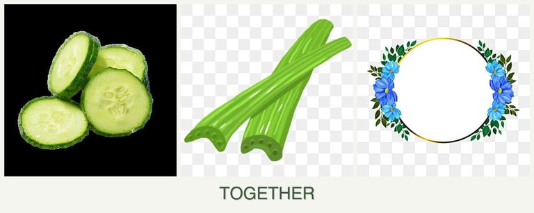 Can you plant cucumbers, celery and zinnias together?