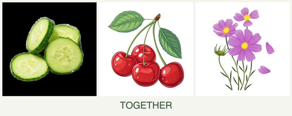 Can you plant cucumbers, cherries and cosmos together?