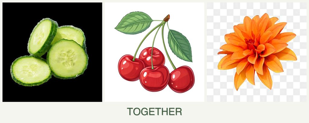 Can you plant cucumbers, cherries and dahlias together?