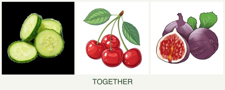Can you plant cucumbers, cherries and figs together?