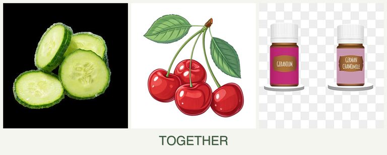 Can you plant cucumbers, cherries and geraniums together?