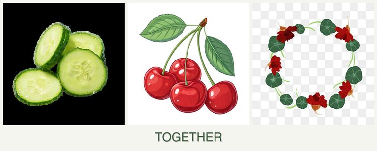 Can you plant cucumbers, cherries and nasturtiums together?