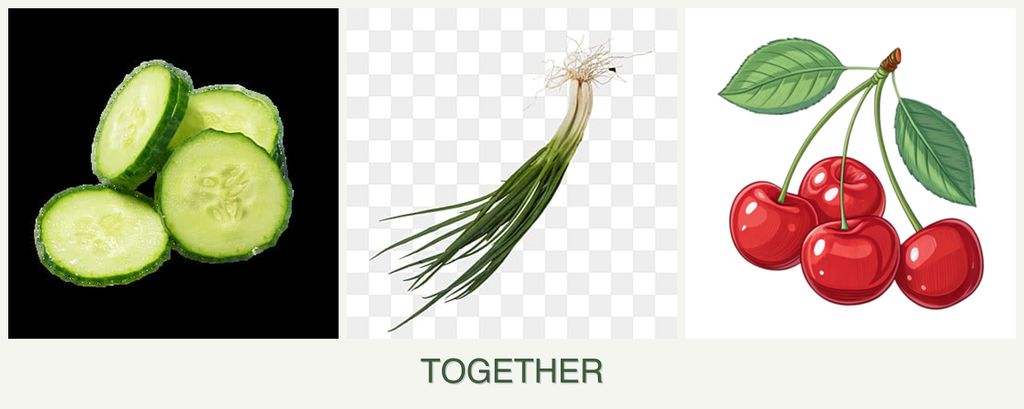 Can you plant cucumbers, chives and cherries together?