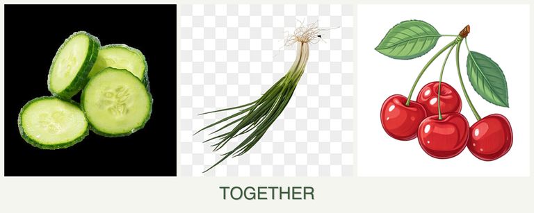 Can you plant cucumbers, chives and cherries together?