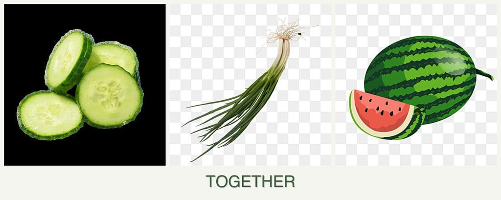 Can you plant cucumbers, chives and melons together?