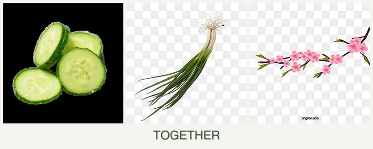 Can you plant cucumbers, chives and peaches together?