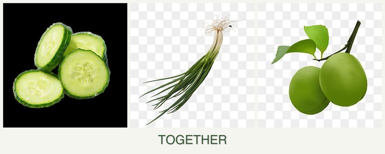 Can you plant cucumbers, chives and plums together?