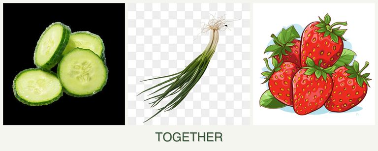 Can you plant cucumbers, chives and strawberries together?