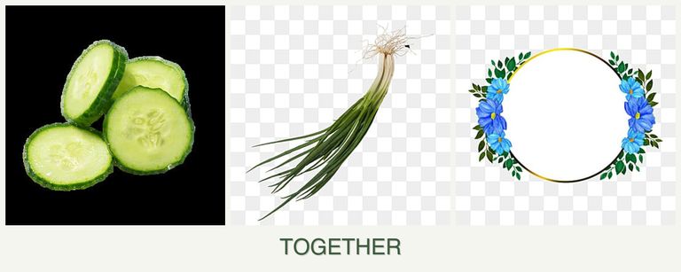 Can you plant cucumbers, chives and zinnias together?