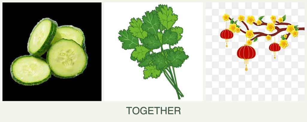 Can you plant cucumbers, cilantro and apricots together?