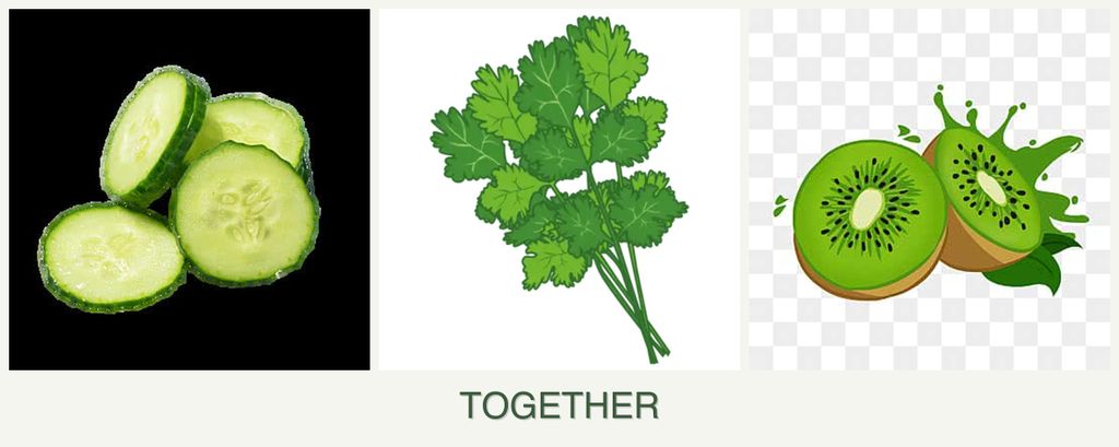 Can you plant cucumbers, cilantro and kiwi together?