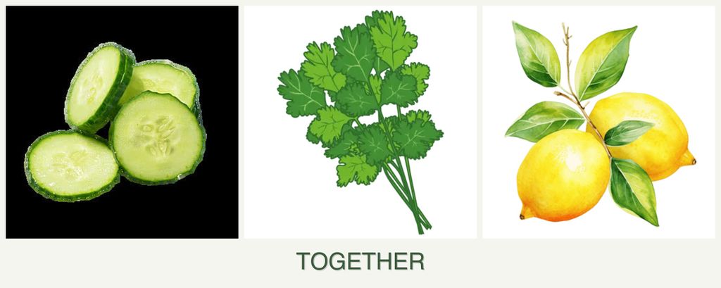 Can you plant cucumbers, cilantro and lemons together?