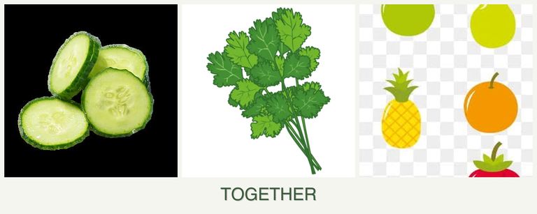 Can you plant cucumbers, cilantro and pears together?