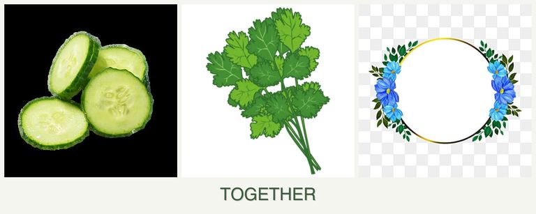 Can you plant cucumbers, cilantro and zinnias together?