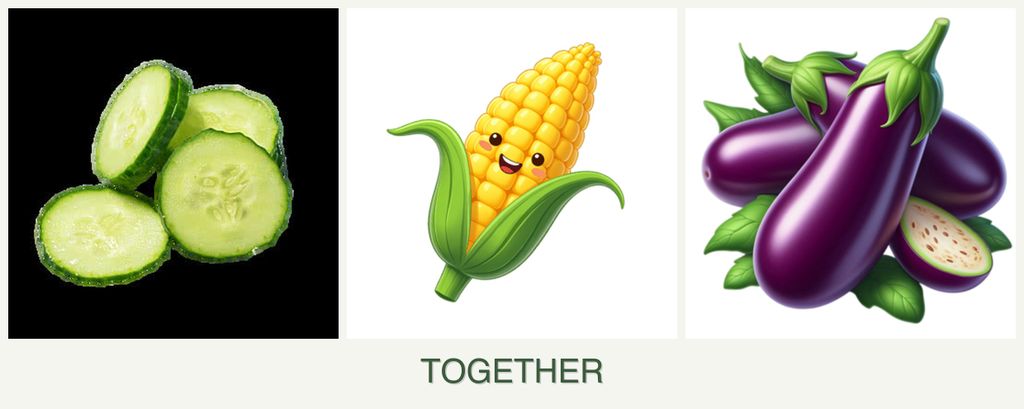 Can you plant cucumbers, corn and eggplant together?
