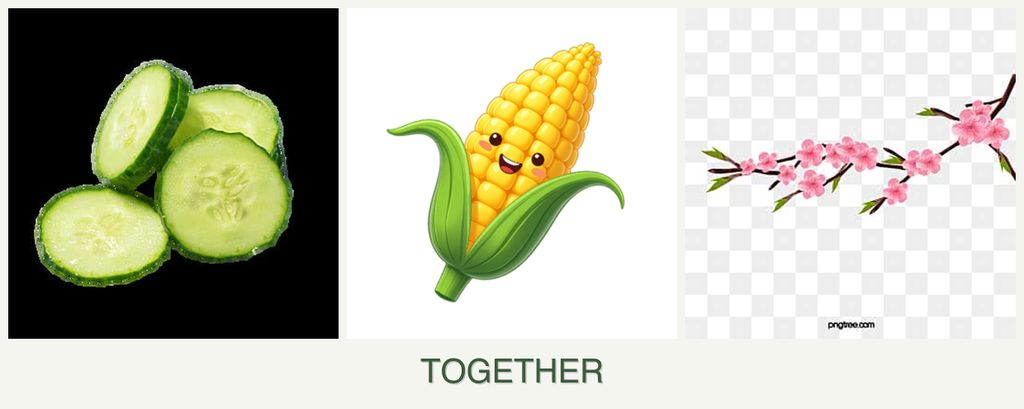 Can you plant cucumbers, corn and peaches together?