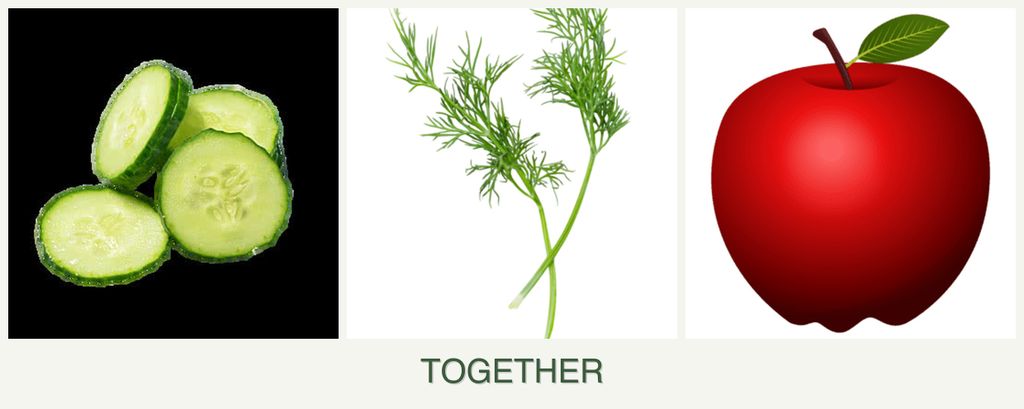 Can you plant cucumbers, dill and apples together?
