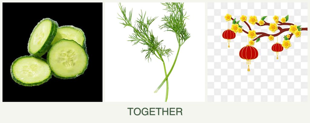 Can you plant cucumbers, dill and apricots together?