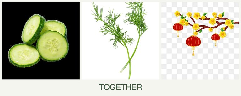 Can you plant cucumbers, dill and apricots together?