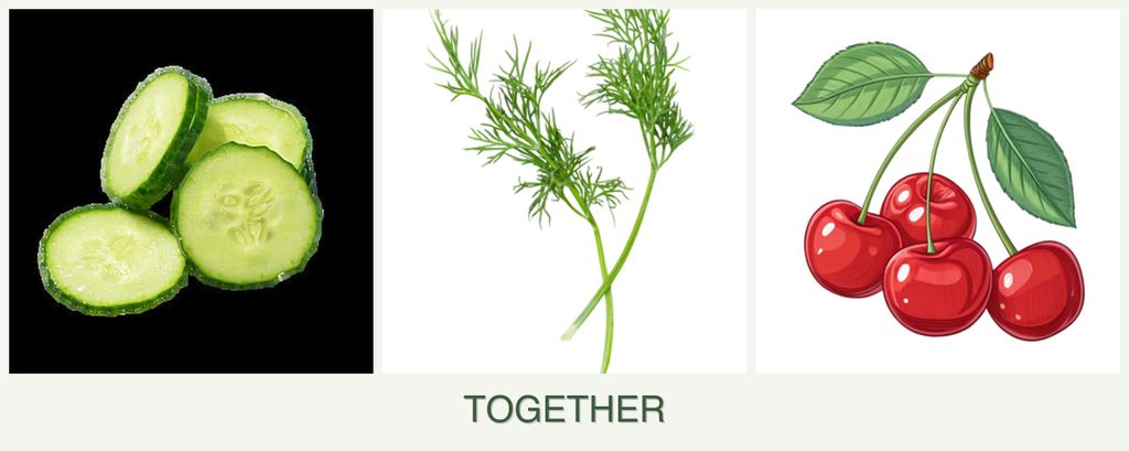 Can you plant cucumbers, dill and cherries together?