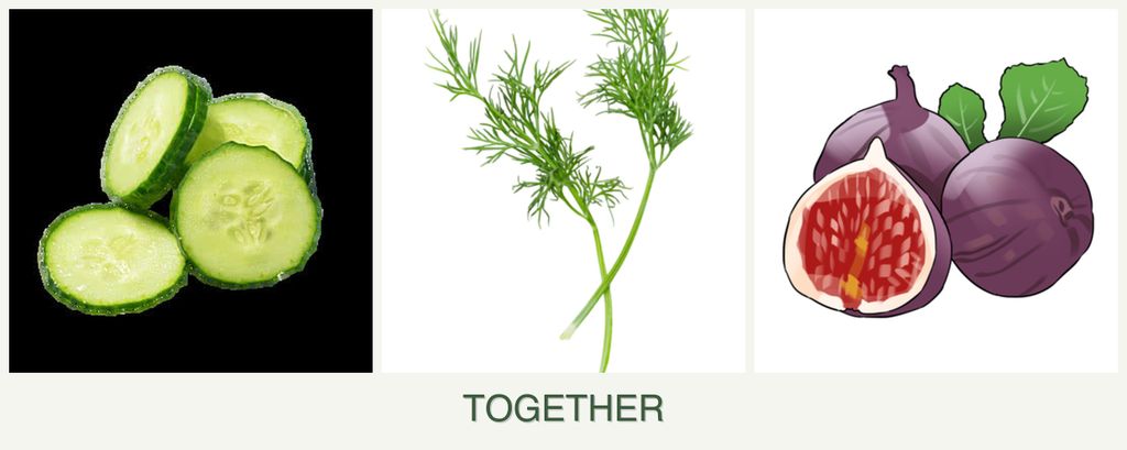 Can you plant cucumbers, dill and figs together?