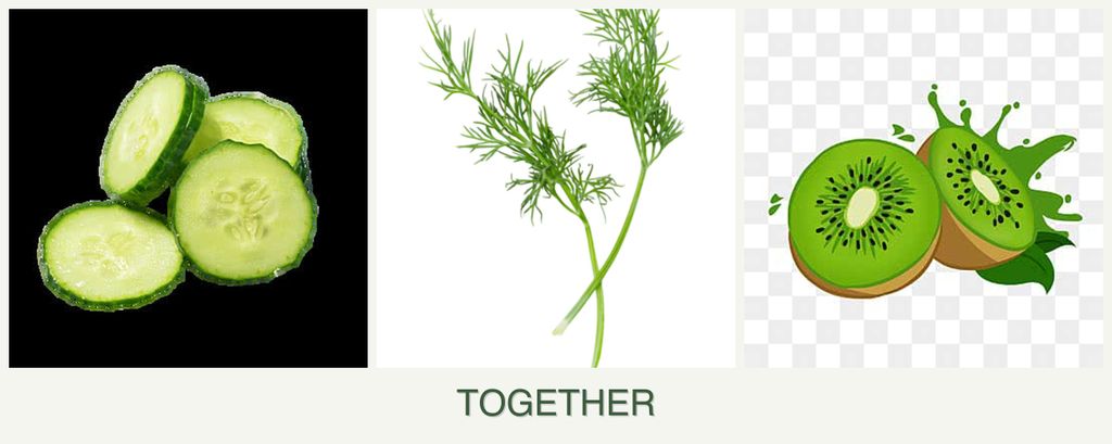 Can you plant cucumbers, dill and kiwi together?