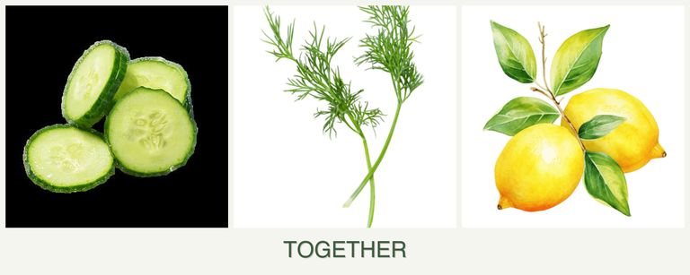 Can you plant cucumbers, dill and lemons together?