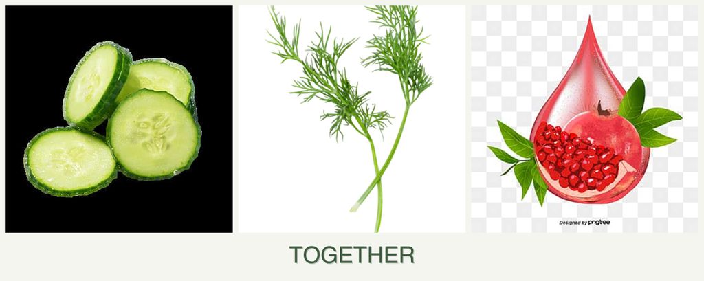 Can you plant cucumbers, dill and pomegranates together?