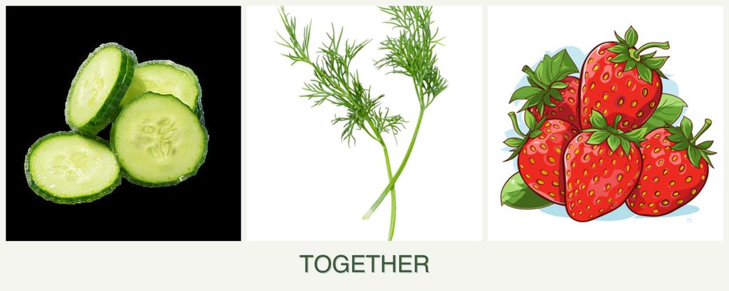 Can you plant cucumbers, dill and strawberries together?