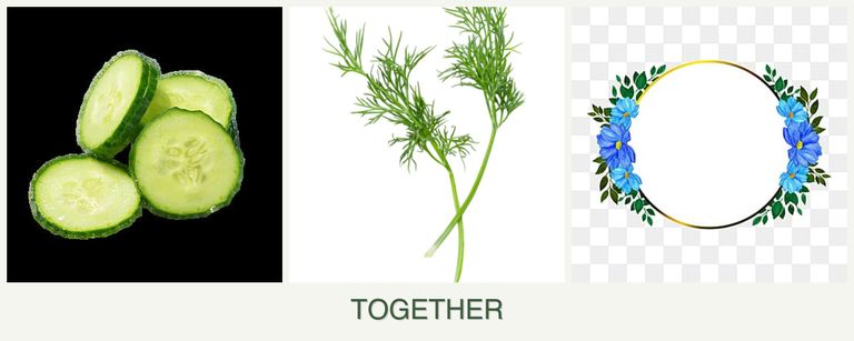 Can you plant cucumbers, dill and zinnias together?