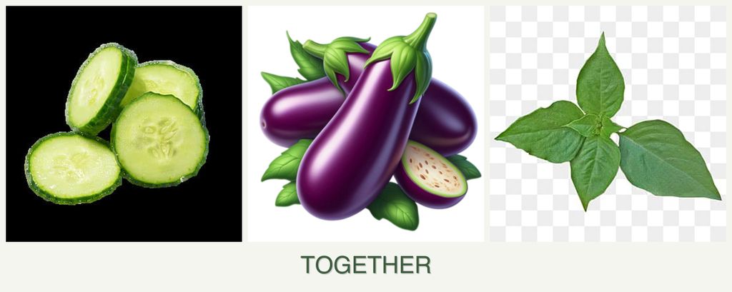 Can you plant cucumbers, eggplant and basil together?