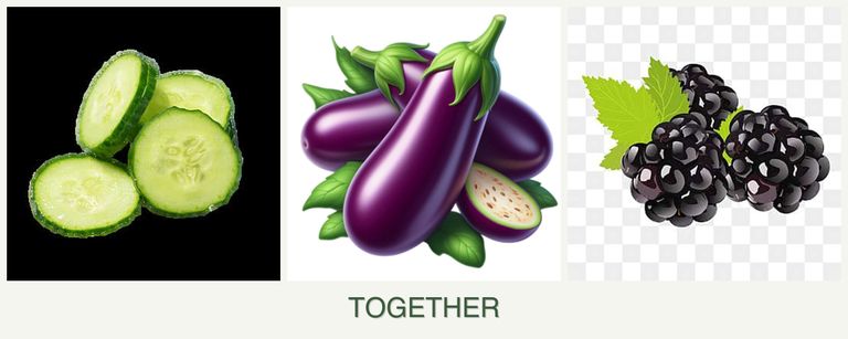 Can you plant cucumbers, eggplant and blackberries together?