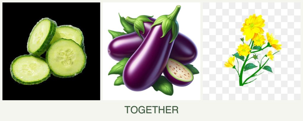 Can you plant cucumbers, eggplant and calendula together?