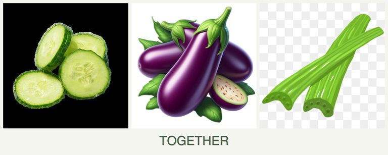Can you plant cucumbers, eggplant and celery together?