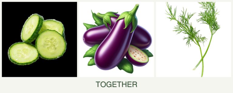 Can you plant cucumbers, eggplant and dill together?