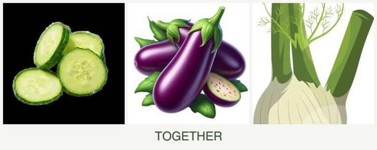 Can you plant cucumbers, eggplant and fennel together?