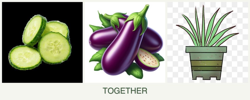 Can you plant cucumbers, eggplant and lemongrass together?