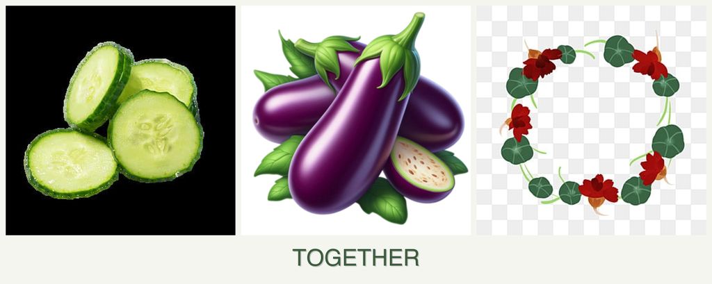 Can you plant cucumbers, eggplant and nasturtiums together?